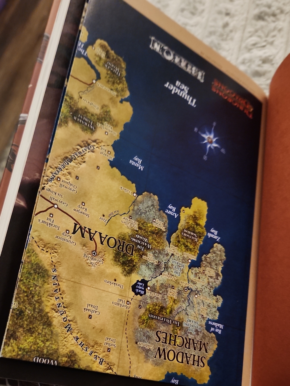 🐉 D&D Eberron Campaign Guide Hardcover 4E RPG Sourcebook Dungeons And Dragons - Picture 7 of 7